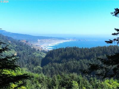26665 SEBASTIAN LN, Gold Beach, Oregon 97444, Estados Unidos