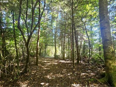26665 SEBASTIAN LN, Gold Beach, Oregon 97444, USA