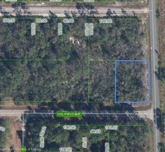 3101 Holifield Avenue, Lake Placid, Florida 33852, Estados Unidos