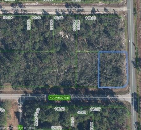 3101 Holifield Avenue, Lake Placid, Florida 33852, Estados Unidos