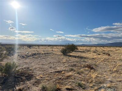 2 Goldfich Avenue, Yucca Valley, 加利福尼亚州 92285, 美国