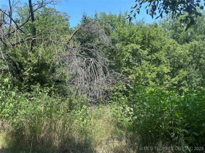 Euclid Avenue, Muskogee, Oklahoma 74401, Estados Unidos