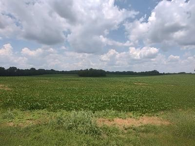 1 Benton Rd, Cedar Hill, Tennessee 37032, USA