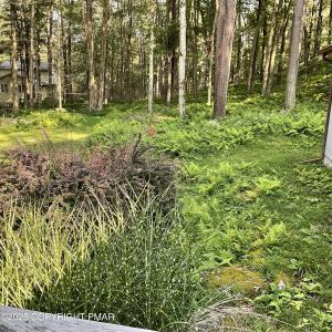 207 Pima Place, Pocono Lake, Pennsylvania 18347, Amerika Birleşik Devletleri