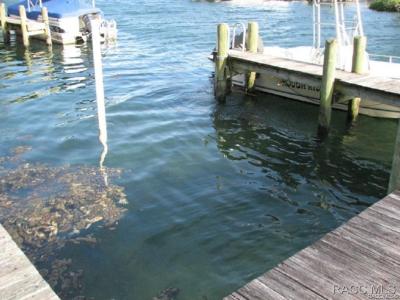 264 NW Bay Path Drive, Crystal River, フロリダ 34428, アメリカ合衆国