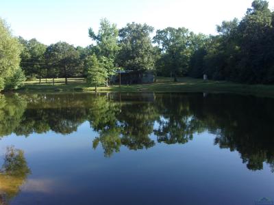 20 CR 1766 Cut Off Rd., Jefferson, Техас 75657, Соединенные Штаты