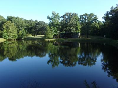 20 CR 1766 Cut Off Rd., Jefferson, Техас 75657, Соединенные Штаты