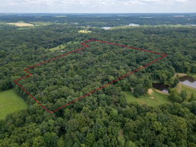 2655 McReynolds Lane, W Frankfort, Illinois 62896, USA