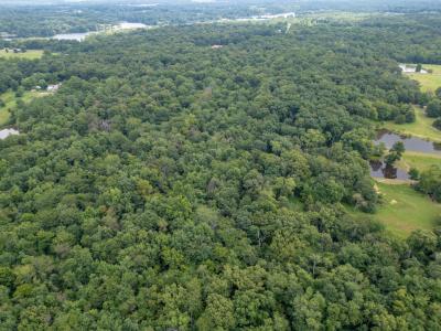 2655 McReynolds Lane, W Frankfort, Illinois 62896, Estados Unidos