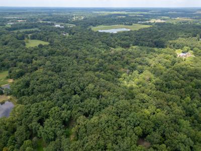 2655 McReynolds Lane, W Frankfort, Illinois 62896, Estados Unidos