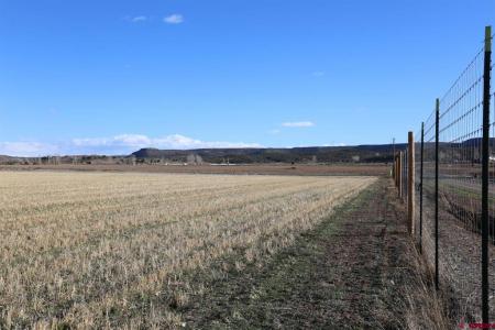 LucaTBD Lot 1 5790 Road, Montrose, קולורדו 81403, ארצות הברית של אמריקה