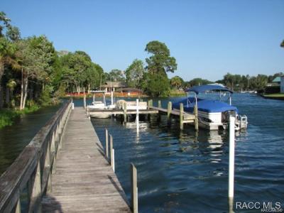 236B NW Bay Path Drive, Crystal River, 佛罗里达州 34428, 美国