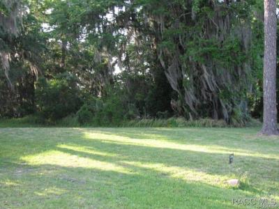 236B NW Bay Path Drive, Crystal River, 佛罗里达州 34428, 美国