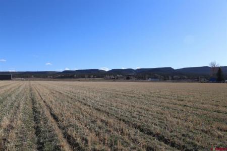 Lot 2 5790 Road, Montrose, קולורדו 81403, ארצות הברית של אמריקה 