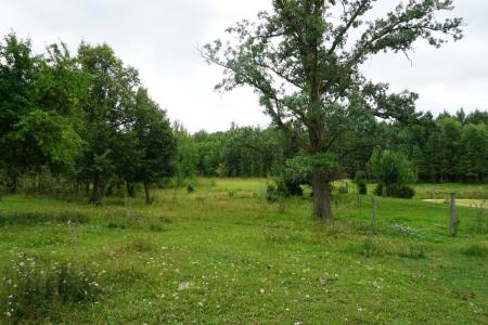 47911 Taflin Lake Rd, Gonvick, מינסוטה 56644, ארצות הברית של אמריקה