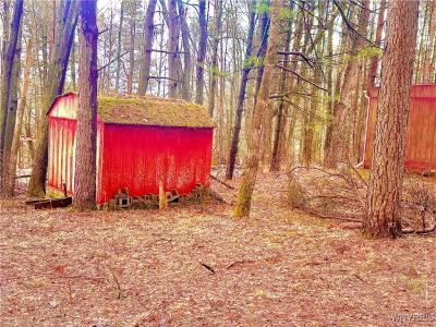 3634 Pine Ridge Road, Clarksville, Nova Iorque 14727, Estados Unidos