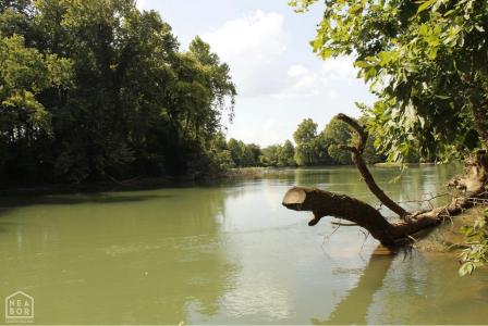 183 Summer Rd, Pocahontas, Arkansas 72455, Stati Uniti