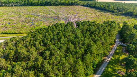 7367 Florence Road, Merritt, 北卡羅來納州 28556, 美國