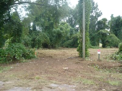 2284 N Hwy 41, Perry, Georgia 31069, USA