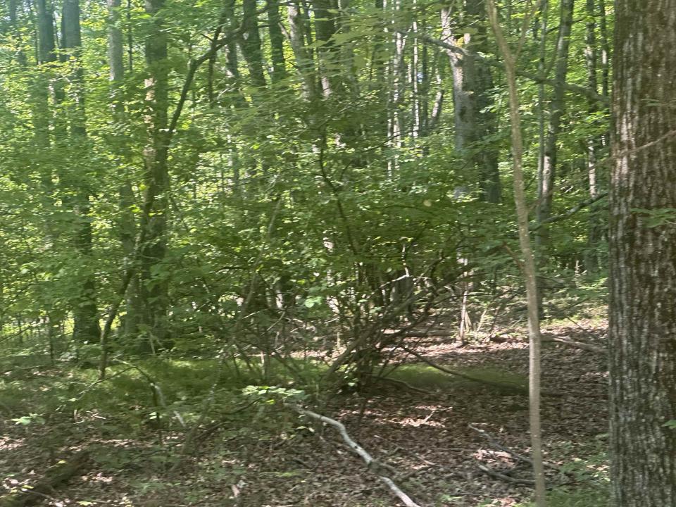 Lot#179 Mockingbird Circle, Farwell, Michigan 48622, États-Unis