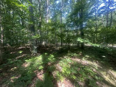 Lot#179 Mockingbird Circle, Farwell, Michigan 48622, États-Unis