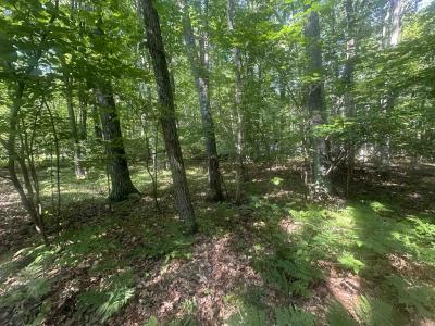 Lot#179 Mockingbird Circle, Farwell, Michigan 48622, États-Unis