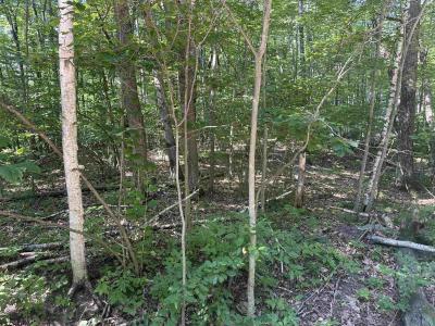 Lot#179 Mockingbird Circle, Farwell, Michigan 48622, États-Unis
