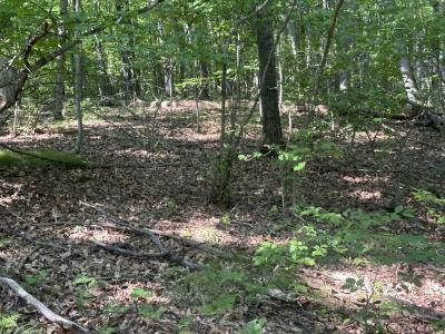 Lot#179 Mockingbird Circle, Farwell, Michigan 48622, États-Unis