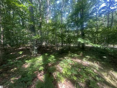 Lot # 179 Mockingbird Circle, Farwell, Мичиган 48622, Соединенные Штаты