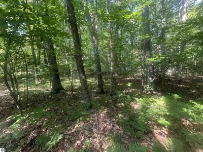 Lot # 179 Mockingbird Circle, Farwell, Мичиган 48622, Соединенные Штаты