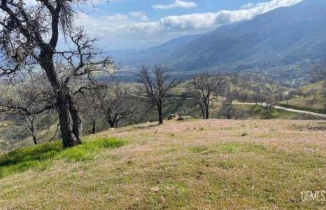 11212 Back Canyon Road, Caliente, California 93518, USA