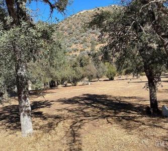 11212 Back Canyon Road, Caliente, California 93518, USA