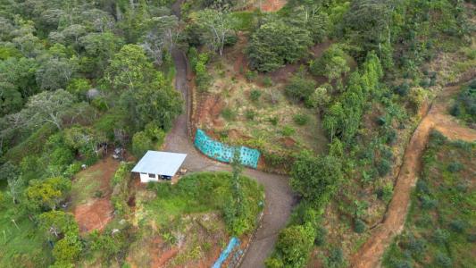 San Isidro Del General Pérez Zeledón, San José 00001, Costa Rica