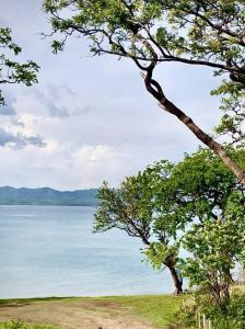 La Cruz La Cruz, Guanacaste 00001, 哥斯达黎加