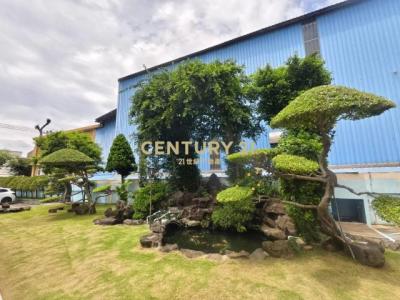 大園工六路稀有RC廠房, 大園區, 桃園市 337, 台灣