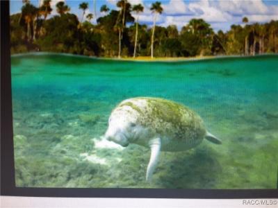 8805 N Ramble Point, Citrus Springs, Florida 34434, Estados Unidos