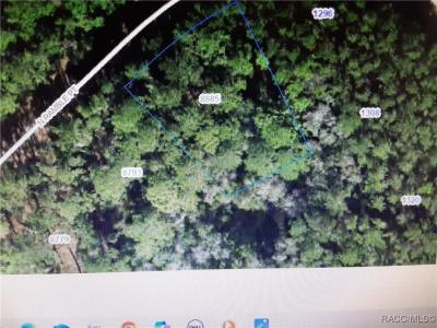 8805 N Ramble Point, Citrus Springs, Florida 34434, Estados Unidos