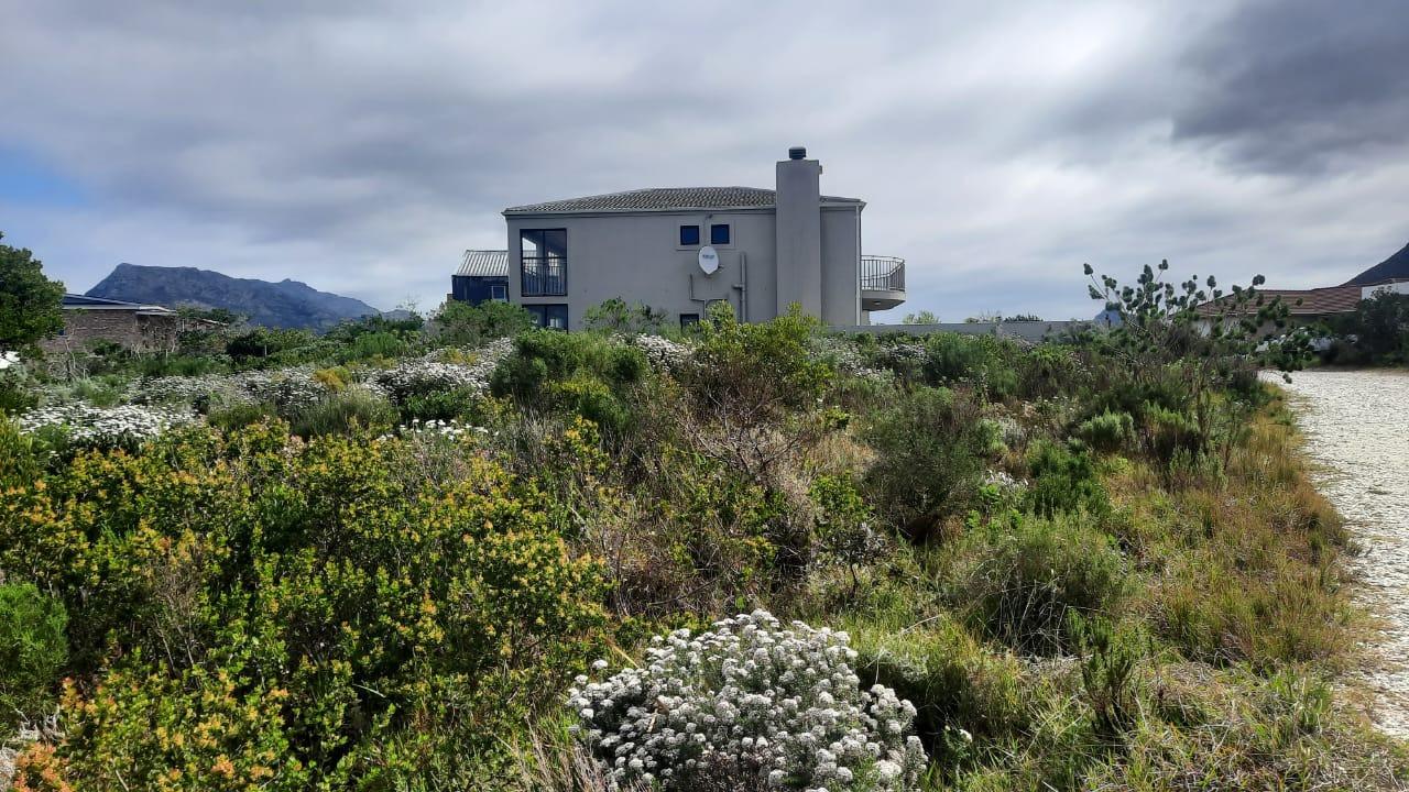 Bettys Bay, Western Cape, 南非