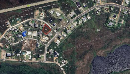 Bettys Bay, Western Cape, 南非