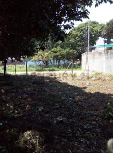 Misiones casi India , Fernando de la Mora, Central 00001, Paraguay