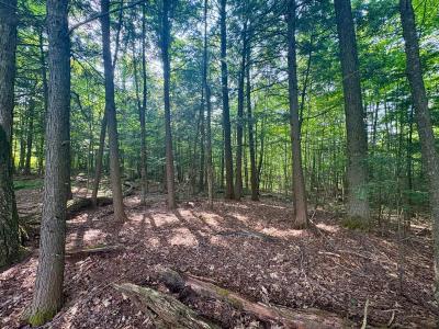 11  Ch. Peerless, Chelsea, Quebec J9B 0G4, Canada