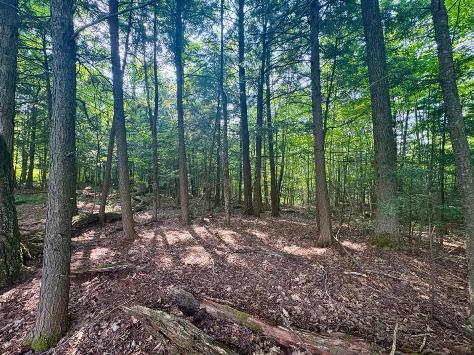 11 Ch. Peerless, Chelsea, Quebec J9B 0G4, Canada