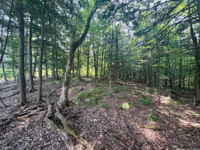 11 Ch. Peerless, Chelsea, Quebec J9B 0G4, Canada