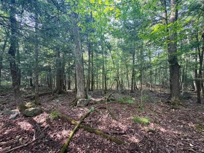 11 Ch. Peerless, Chelsea, Quebec J9B 0G4, Canada