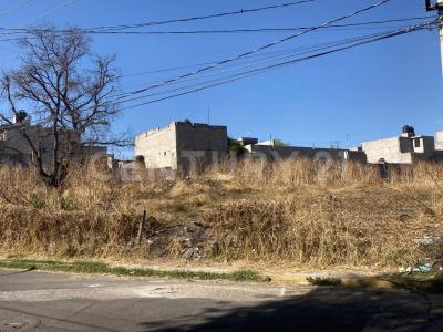 Camino Real al Pueblo de Santa Catarina Lt1,, Tláhuac, Ciudad De México 13100, Mexico