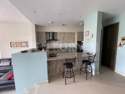 Corredor Urbano Luis Donaldo Colosio ,, Altamira, タマウリパス 89604, メキシコ