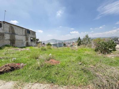 Alberto García Granados ,, Atizapán De Zaragoza, Estado De Mexico 52966, Mexico