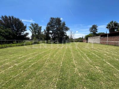 HILDA O,, León, 과 나후 아토 37683, 멕시코