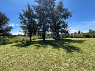 HILDA O,, León, 과 나후 아토 37683, 멕시코