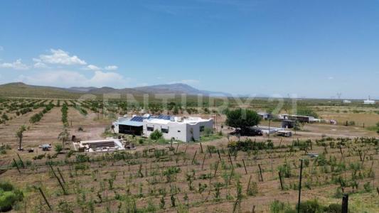 Delicias, Chihuahua 33001, Mexique